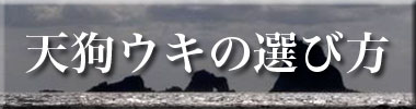 tengu_banner