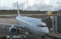 sm-all-278.jpg