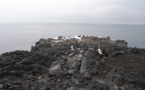 adv03-749.jpg