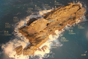 adv03-969.jpg
