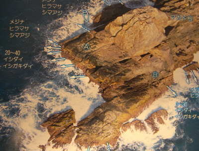 adv03-970.jpg