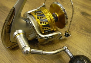 adv2009vo4.jpg