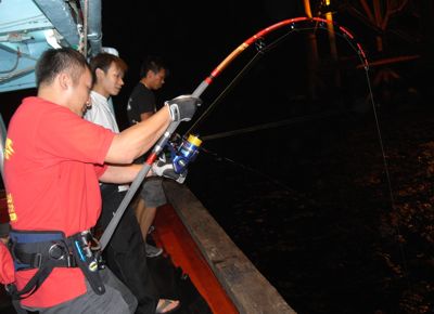 r1003533.jpg